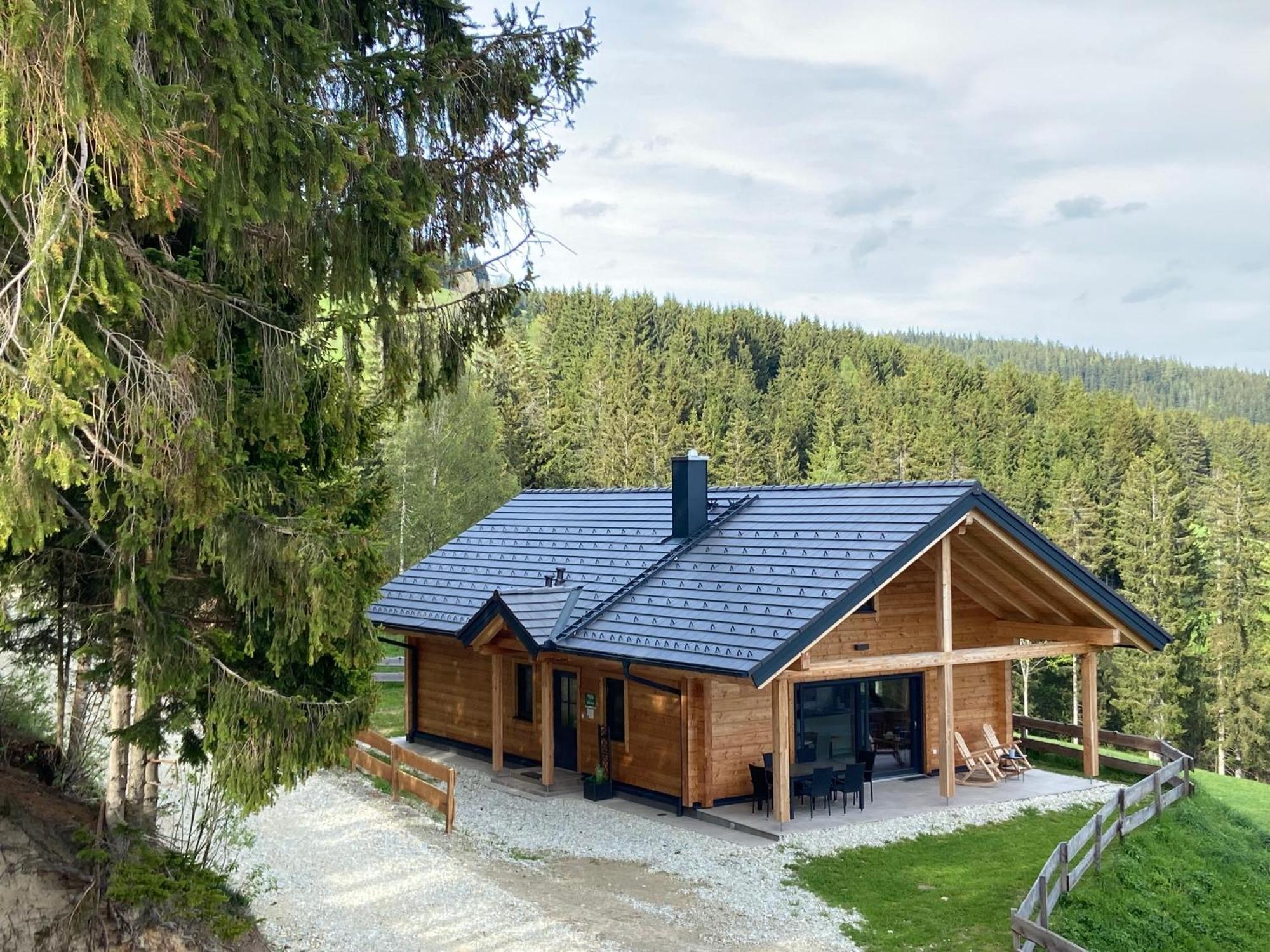 Ferienwohnung Blockhaus Waldspiel Ratten Exterior foto